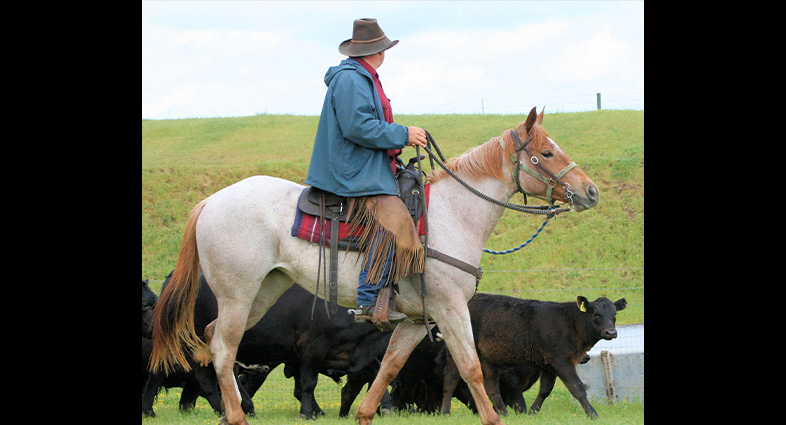 Checking Pastures