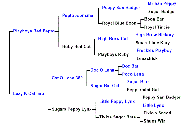 Playboys Doc pedigree